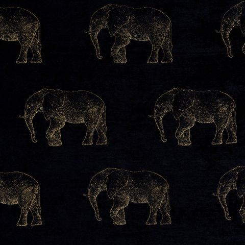 Elephant Noir