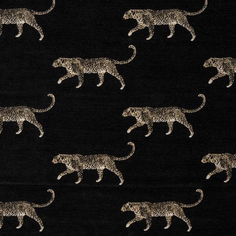 Leopard Noir