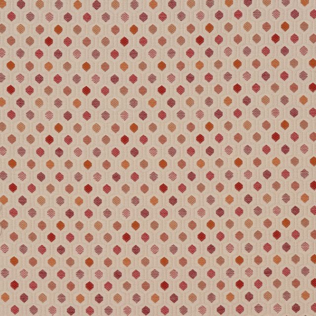 Porter & Stone Otto Oscar Spice