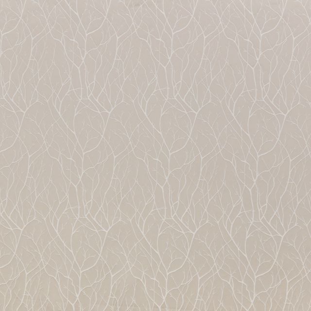 iLiv Charnwood Cuerden Putty