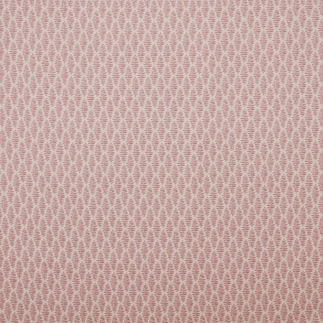 iLiv Country Journal Fia Rosa