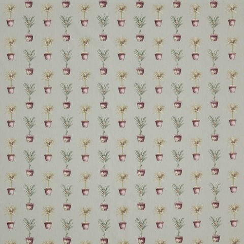 Greenhouse Pots Mist