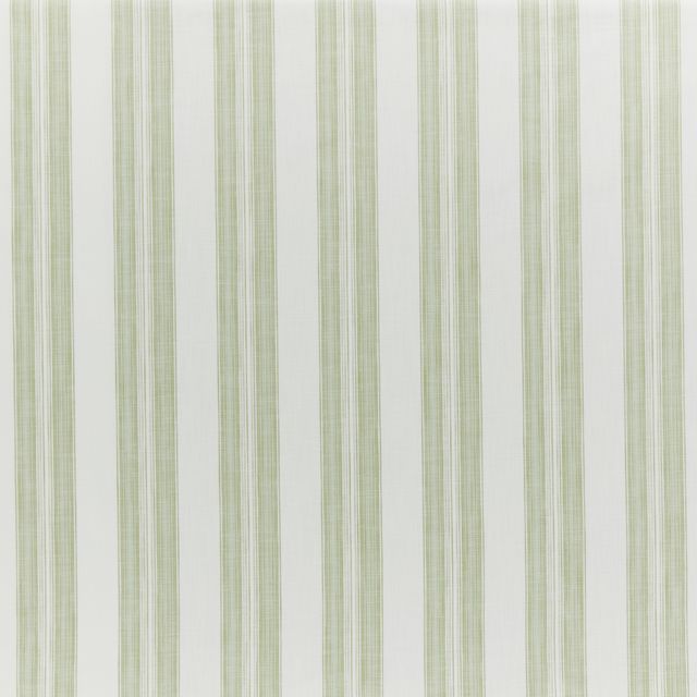 iLiv The Observatory Barley Stripe Fennel