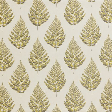 Frond Fennel Voile Fabric