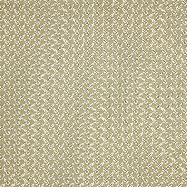 Maidenhair Fennel Upholstery Fabric