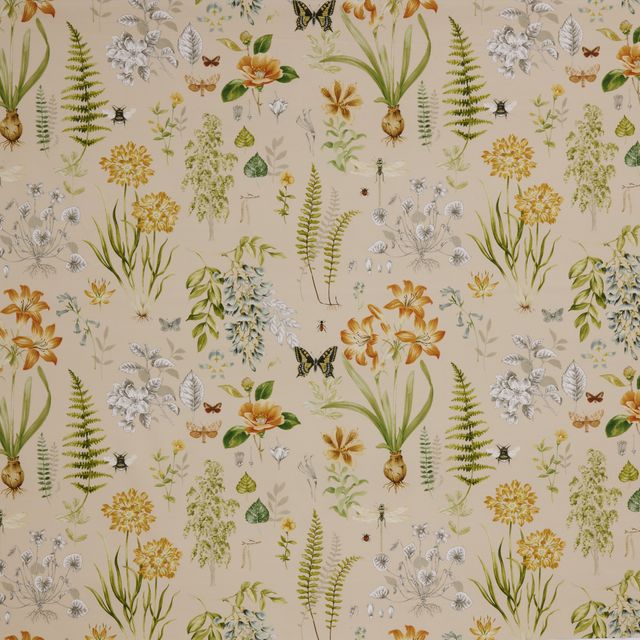 iLiv The Observatory Observatory Amber