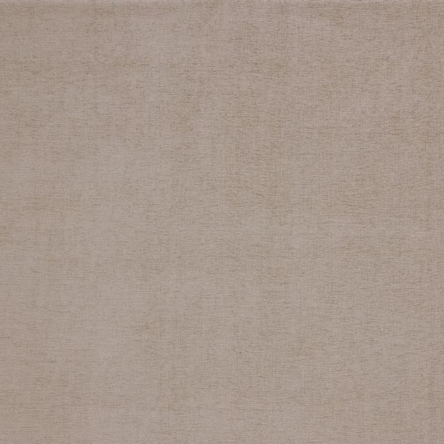 iLiv Plains & Textures 11 Ashbury Dove