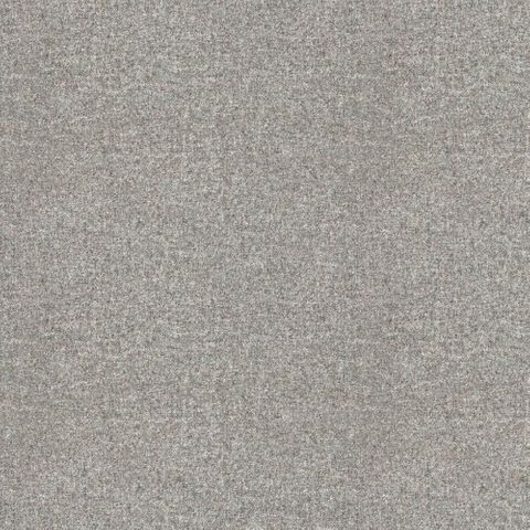 Earth Platinum Upholstery Fabric