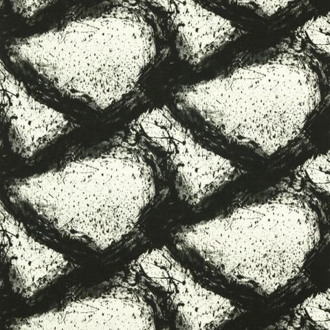 Enigmatic Black Earth/First Light