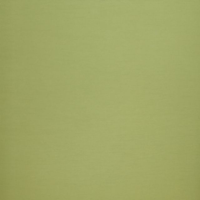 Dusk Blackout Lime