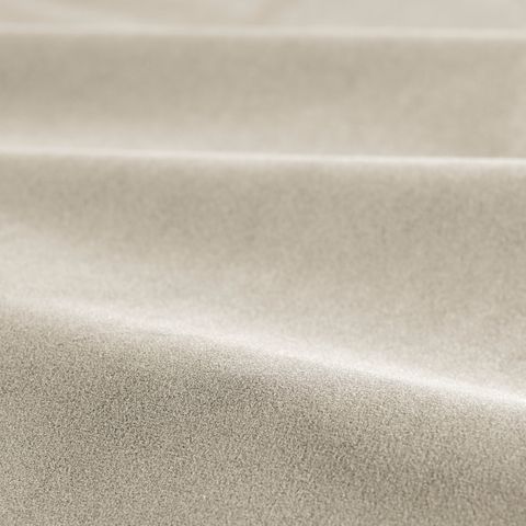 Performance Velvet Oyster