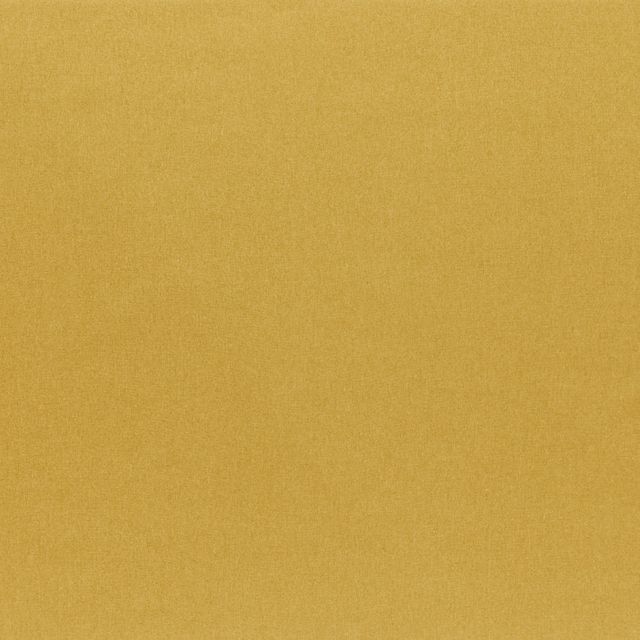 Tundra Ochre
