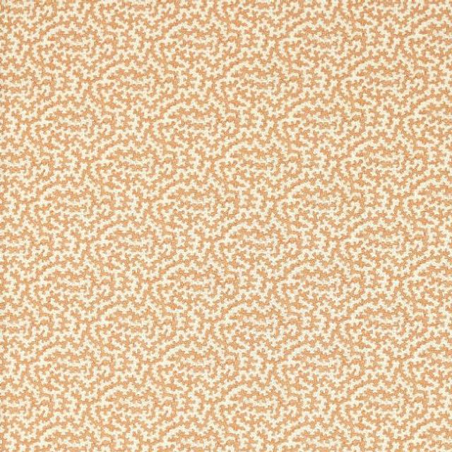 Sanderson Indoor Outdoor Prints Truffle Sandstone