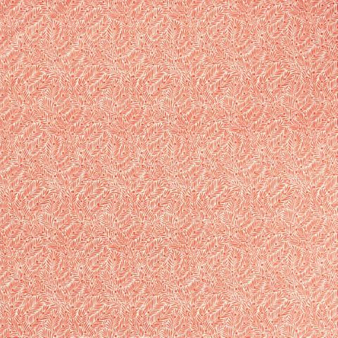 Yew & Aril Watermelon