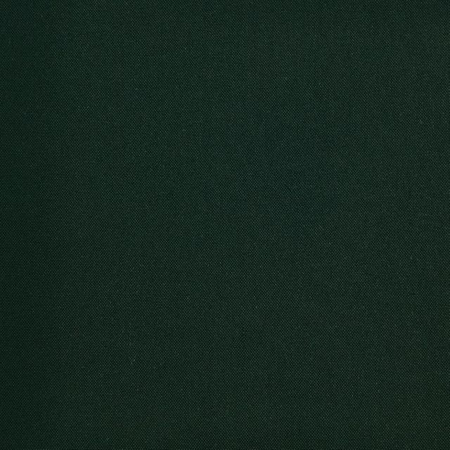 Zanzibar Blackout Forest