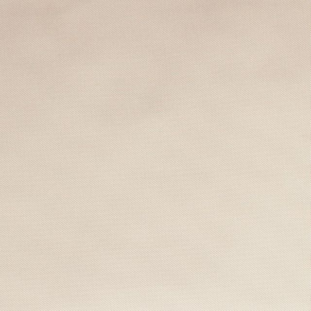 Zanzibar Blackout Biscuit