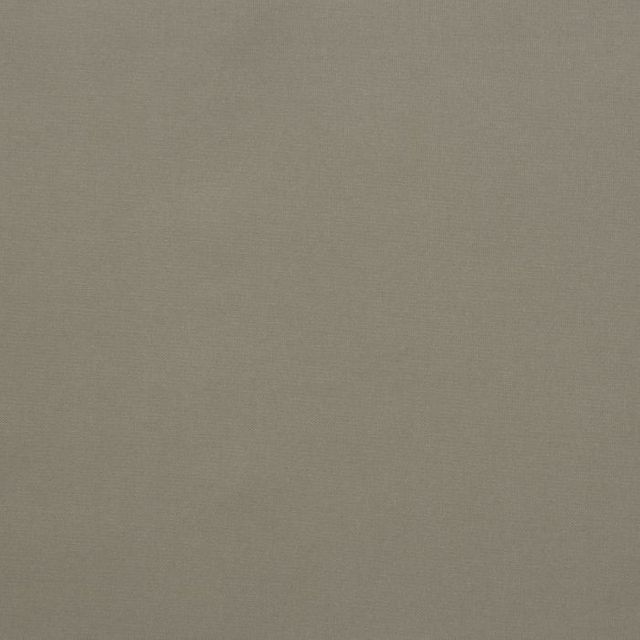 Zanzibar Blackout Dust