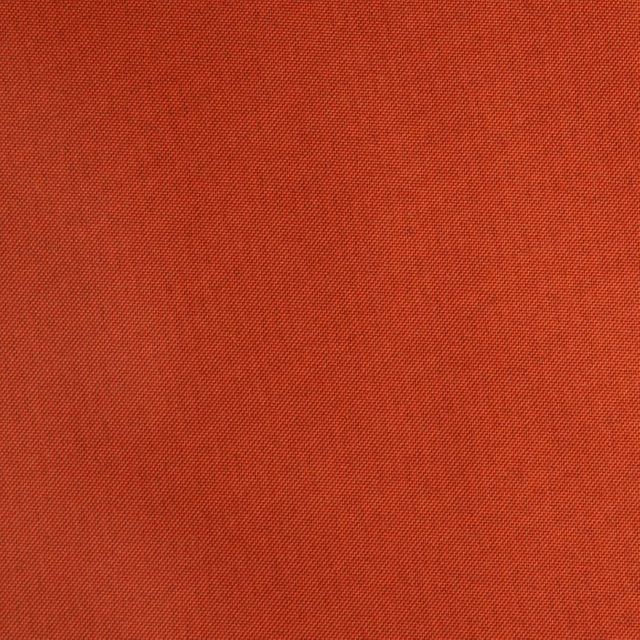 Zanzibar Blackout Ginger