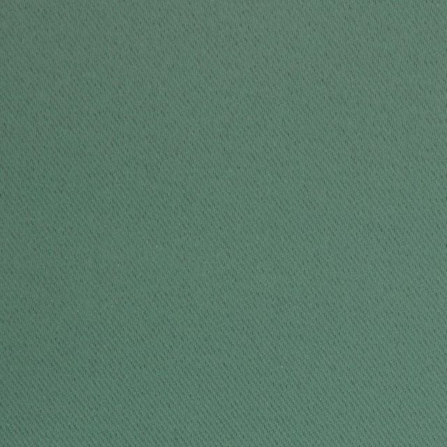 Venus Dimout Fern Fire Retardant Fabric