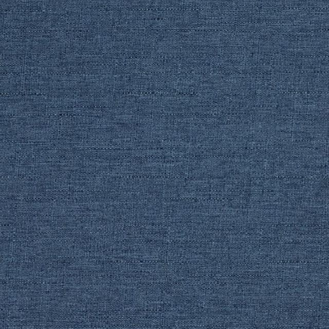 Discovery Blackout Denim