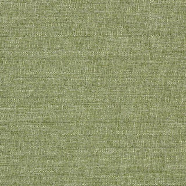 Discovery Blackout Green Tea