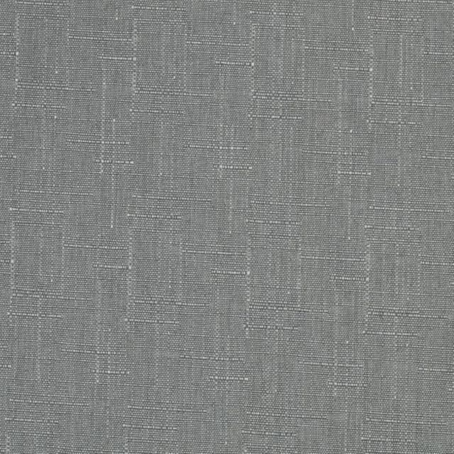 Discovery Blackout Ash