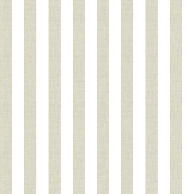 Small Stripe Taupe