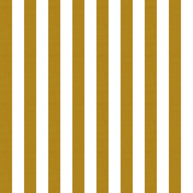 Small Stripe Mustard