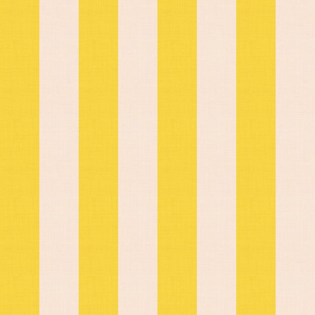 Medium Stripe Sunshine