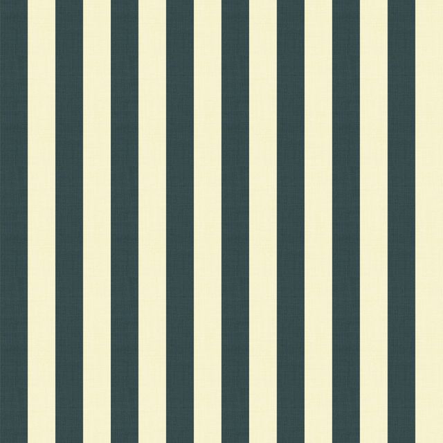 Small Stripe Bright Steel