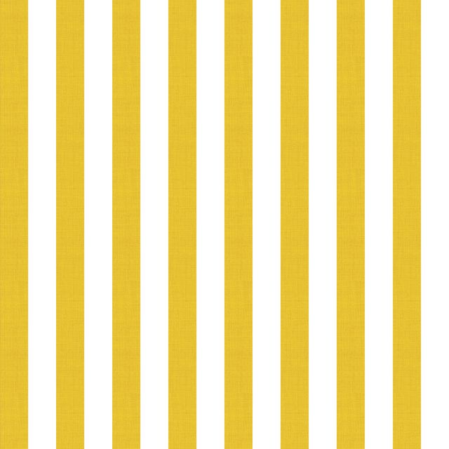 Small Stripe Light Mustard