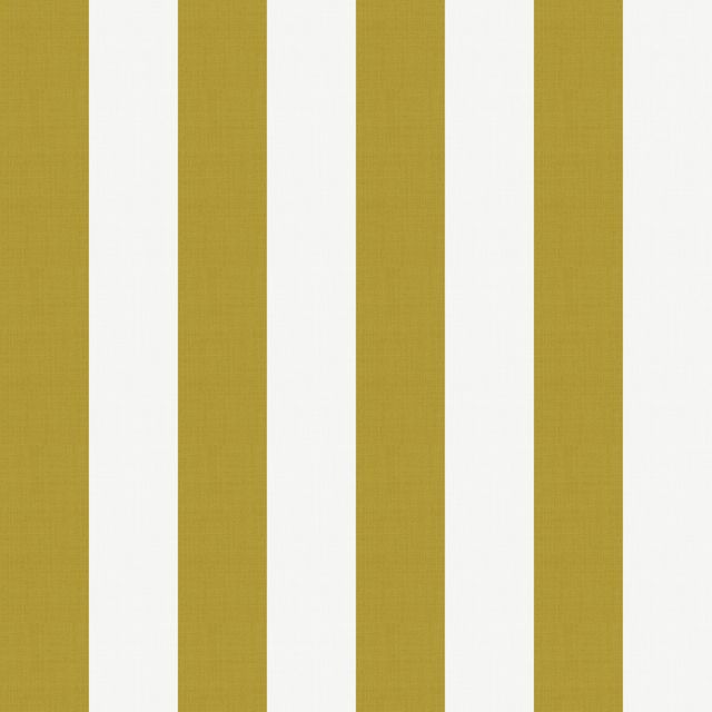 Medium Stripe Sunflower