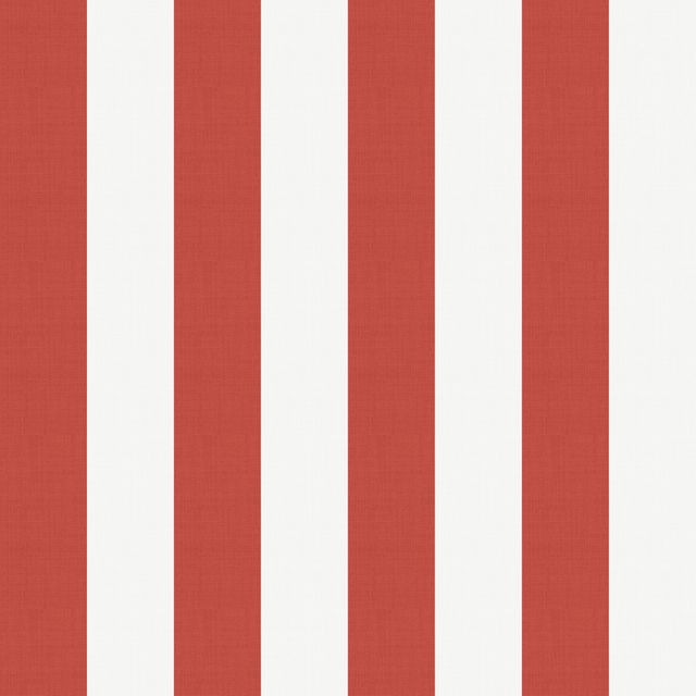 Medium Stripe Coral Red