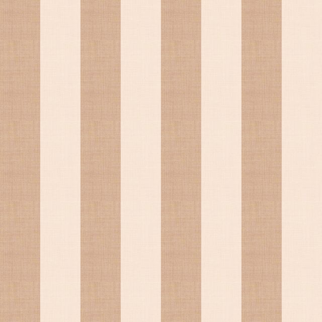 Medium Stripe Creamy