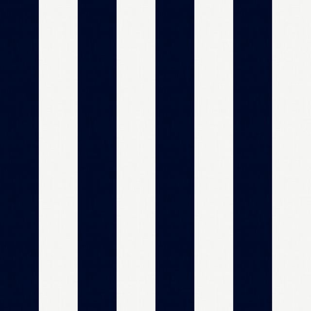 Medium Stripe Bright Navy