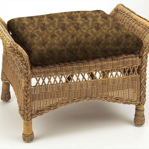 Kotori Gilt Box Cushion